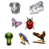 Animal, Wildlife - Click for details ...