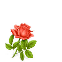 Plants, Seeds - Click for details ...